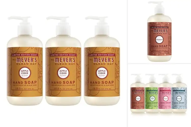 Detailed view of Best Seasonal Hand Soaps