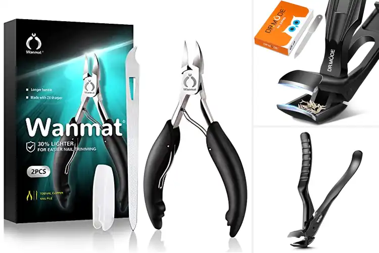 Detailed view of Best Stainless Steel Clippers